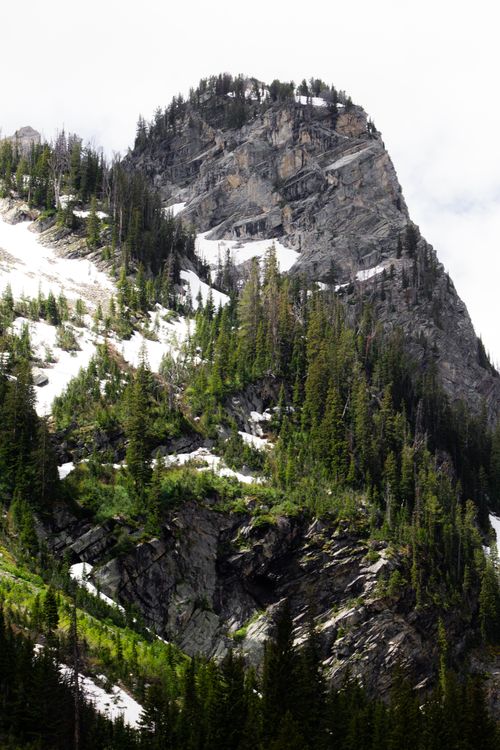 Free High mountain peak with lush evergreen trees and patches of snow on a sunny day. Stock Photo
