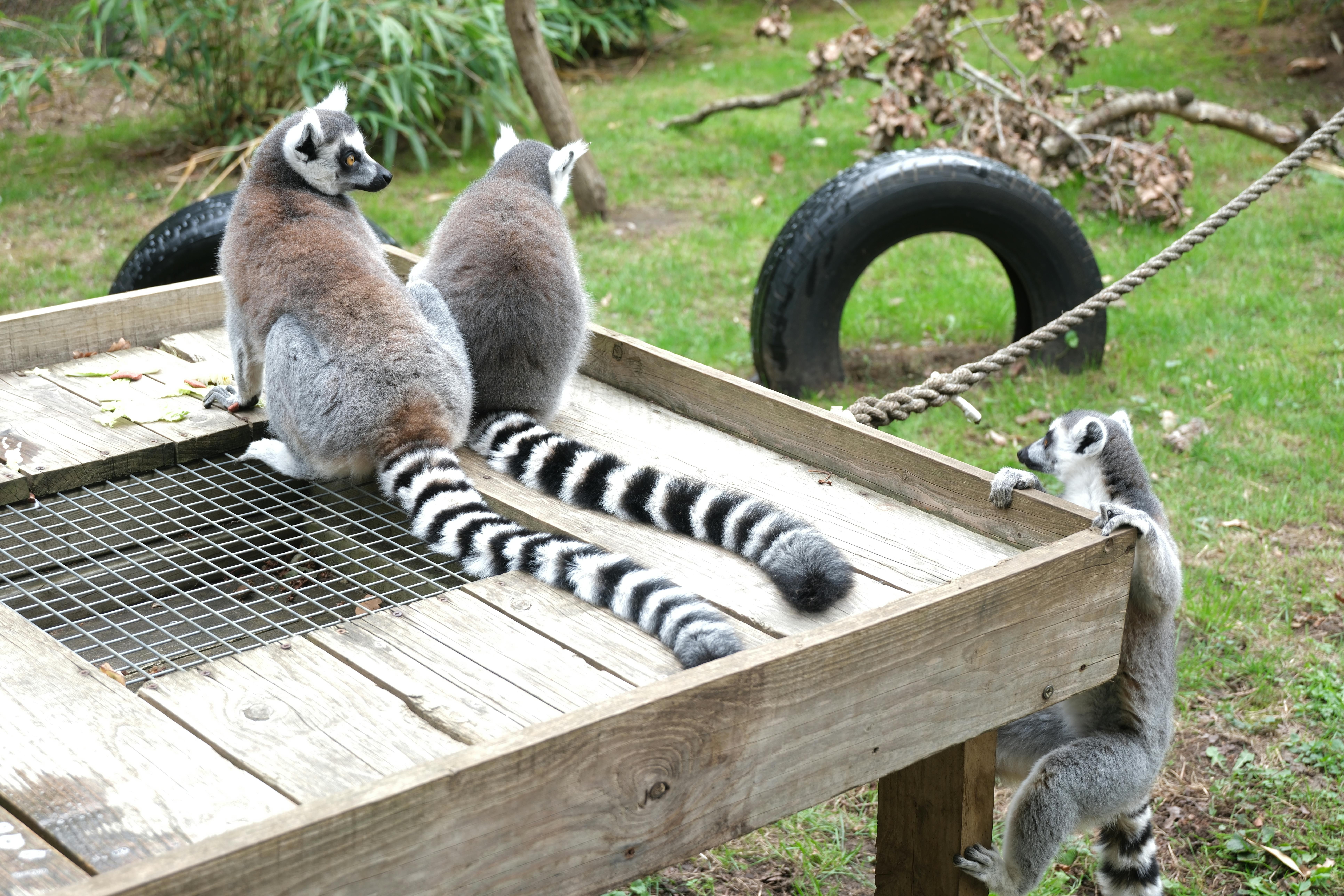 Enhancing Learning with Augmented Reality Education