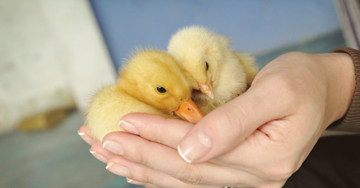 亞洲掀起Z世代政治風暴,影響力持續擴大