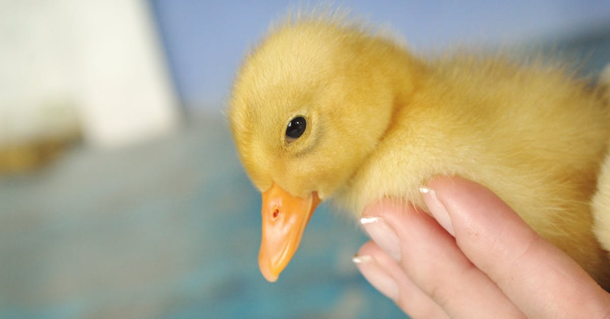 亞洲掀起Z世代政治風暴,影響力持續擴大