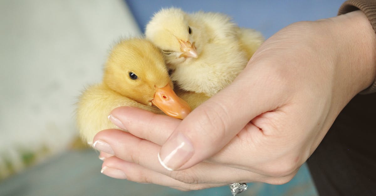 亞洲掀起Z世代政治風暴,影響力持續擴大