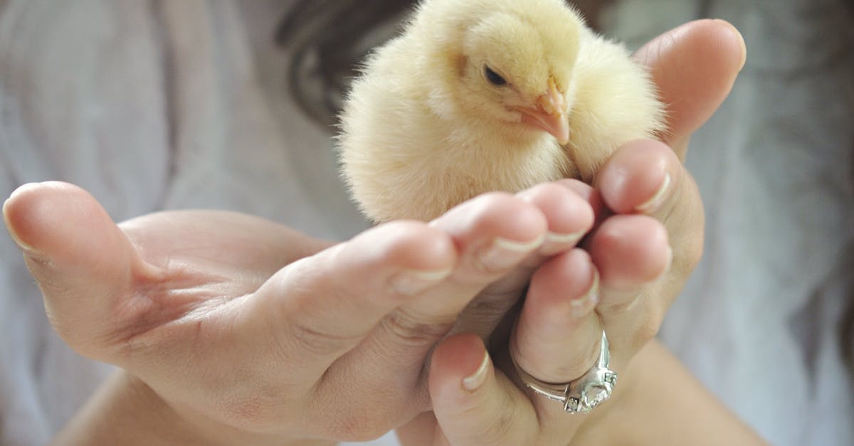 亞洲掀起Z世代政治風暴,影響力持續擴大