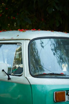 A close-up of a vintage green van with natural reflections and flower petals.
