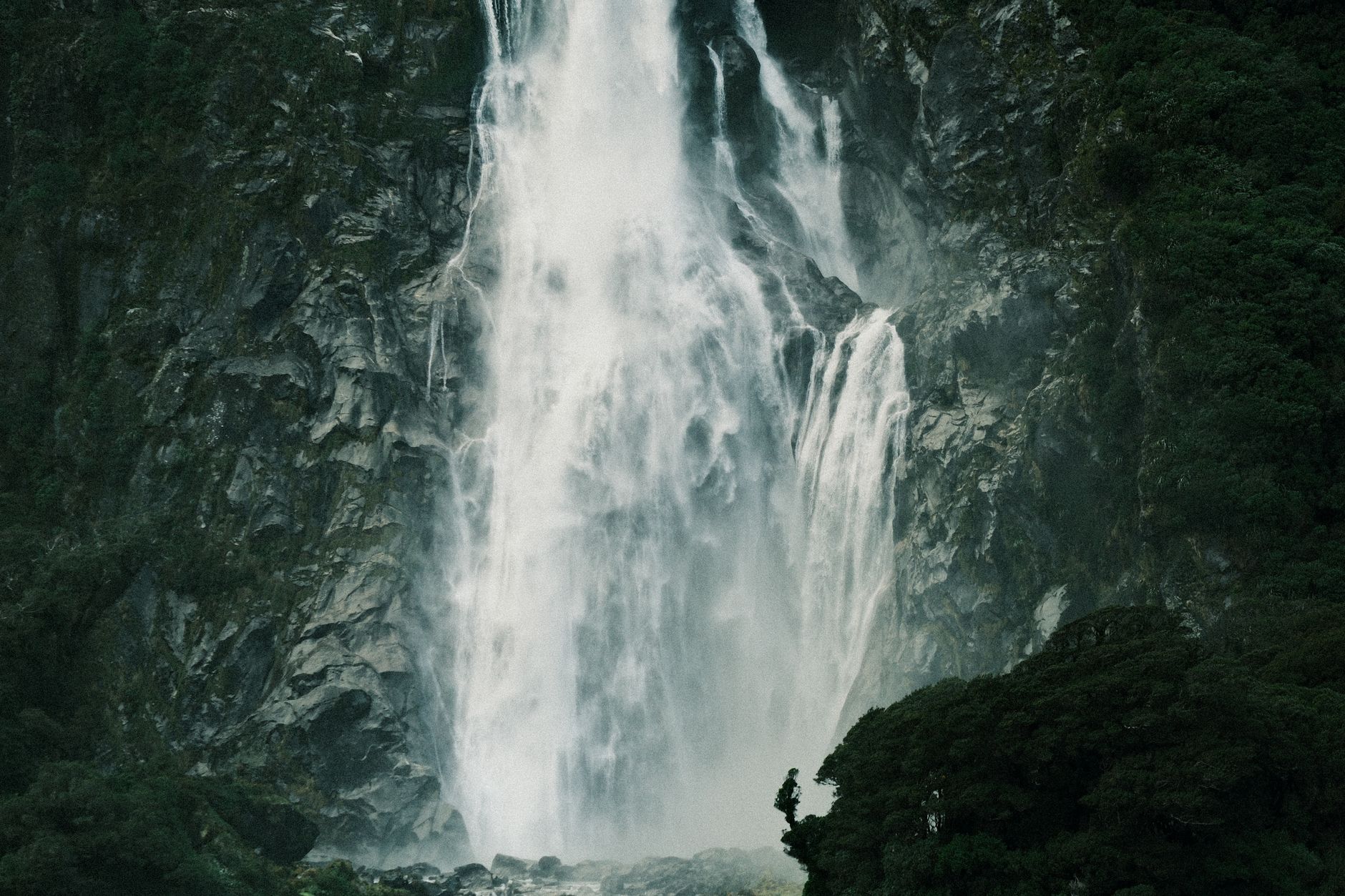 Milford Sound / Piopiotahi