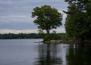 Serene lakeside scene with lush greenery and reflections in Muskoka, Ontario.
