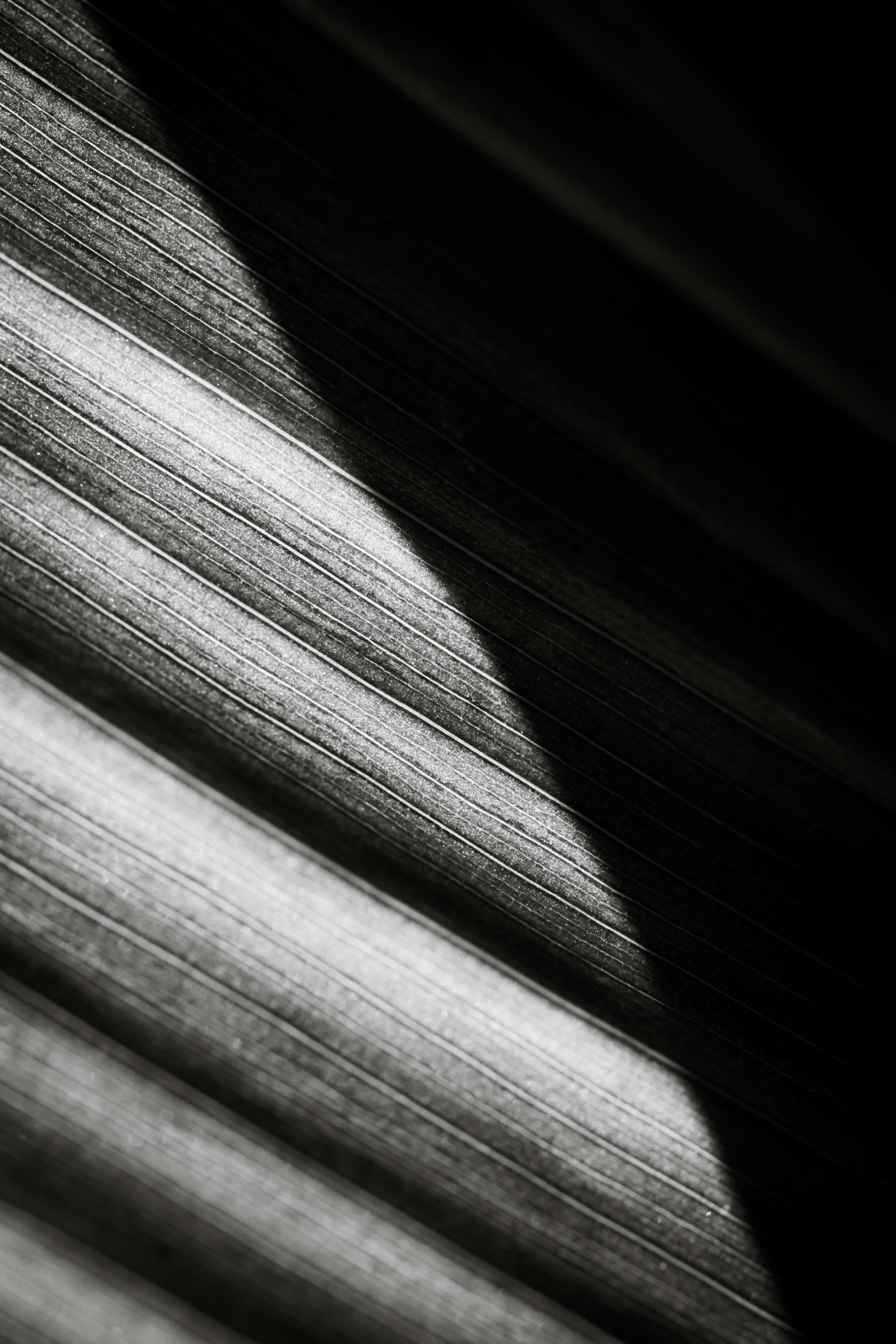 Abstract black and white image capturing intricate shadow patterns and textures.
