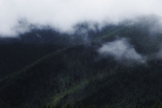 A serene view of misty mountains covered in lush greenery in Ganzi, Sichuan, China.
