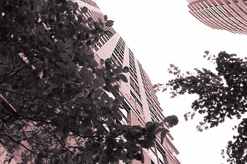 Free High up Stock Photo