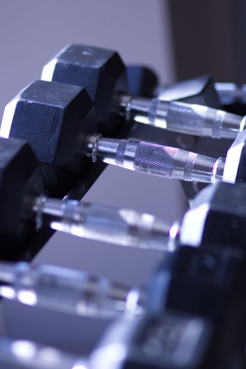 Free Fitness Stock Photo