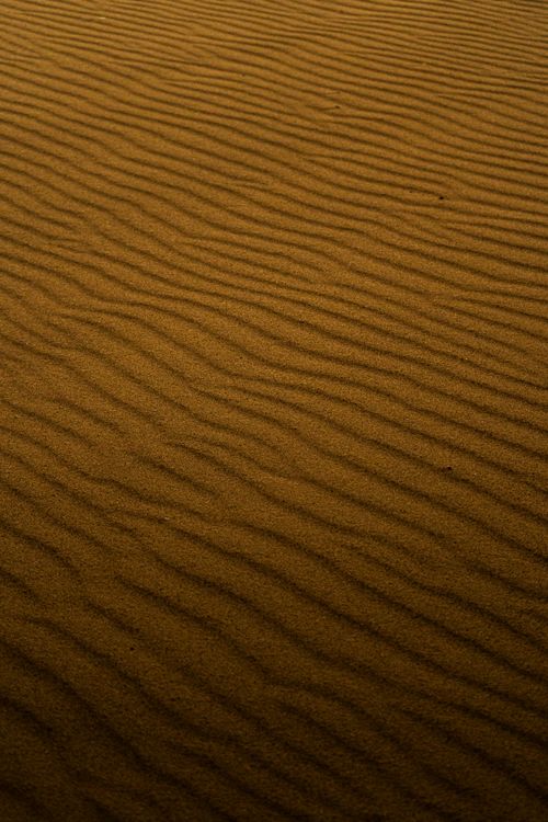 Sandy Ripple Intricate Sand Ripples on Michigan Beach · Free Stock Photo