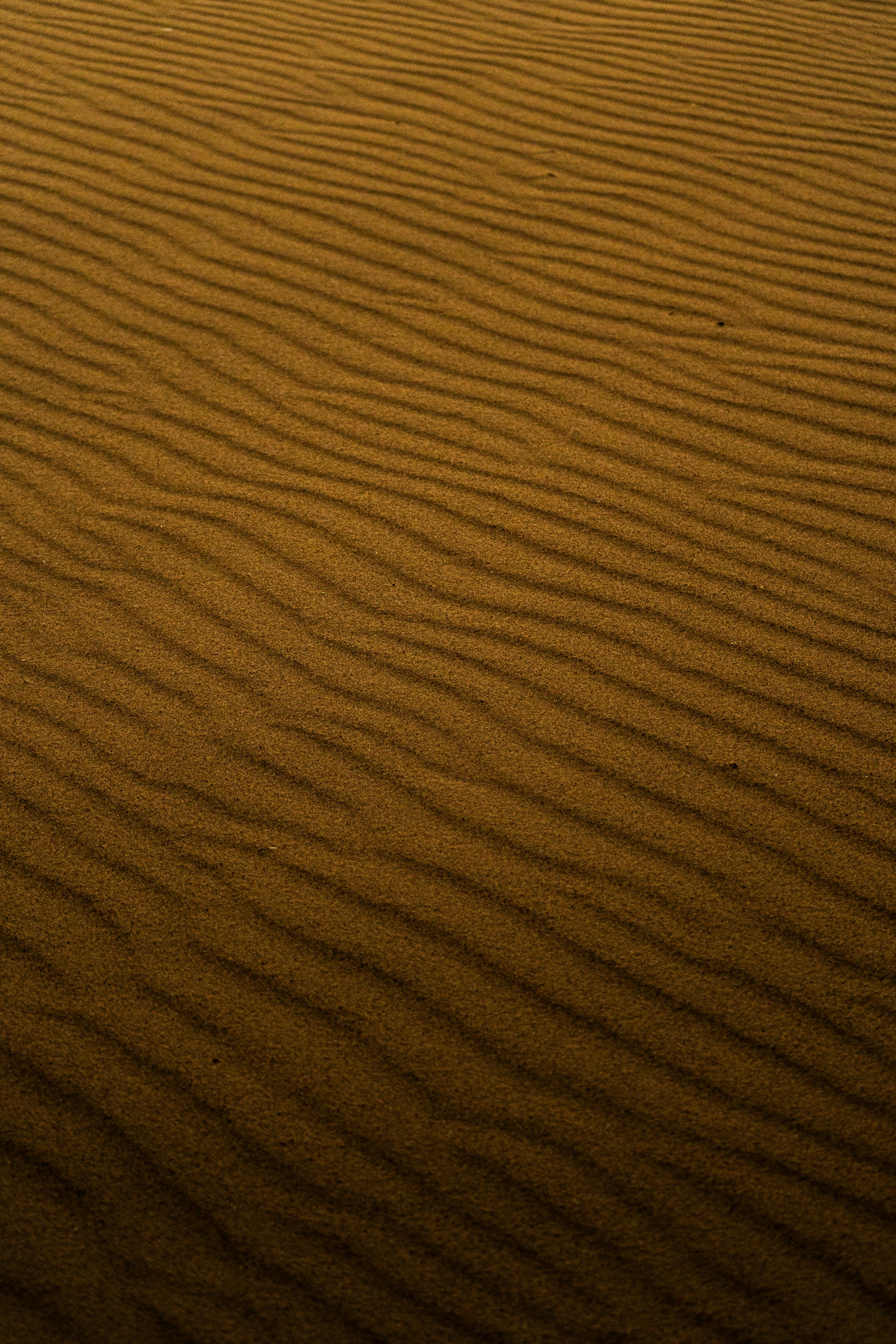 Kostenlos Detaillierte Textur von Sandwellen an einem Strand in Holland, Michigan. Stock-Foto
