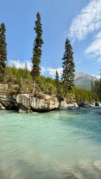 Clear blue river flowing through pine forest with distant mountain under blue sky.