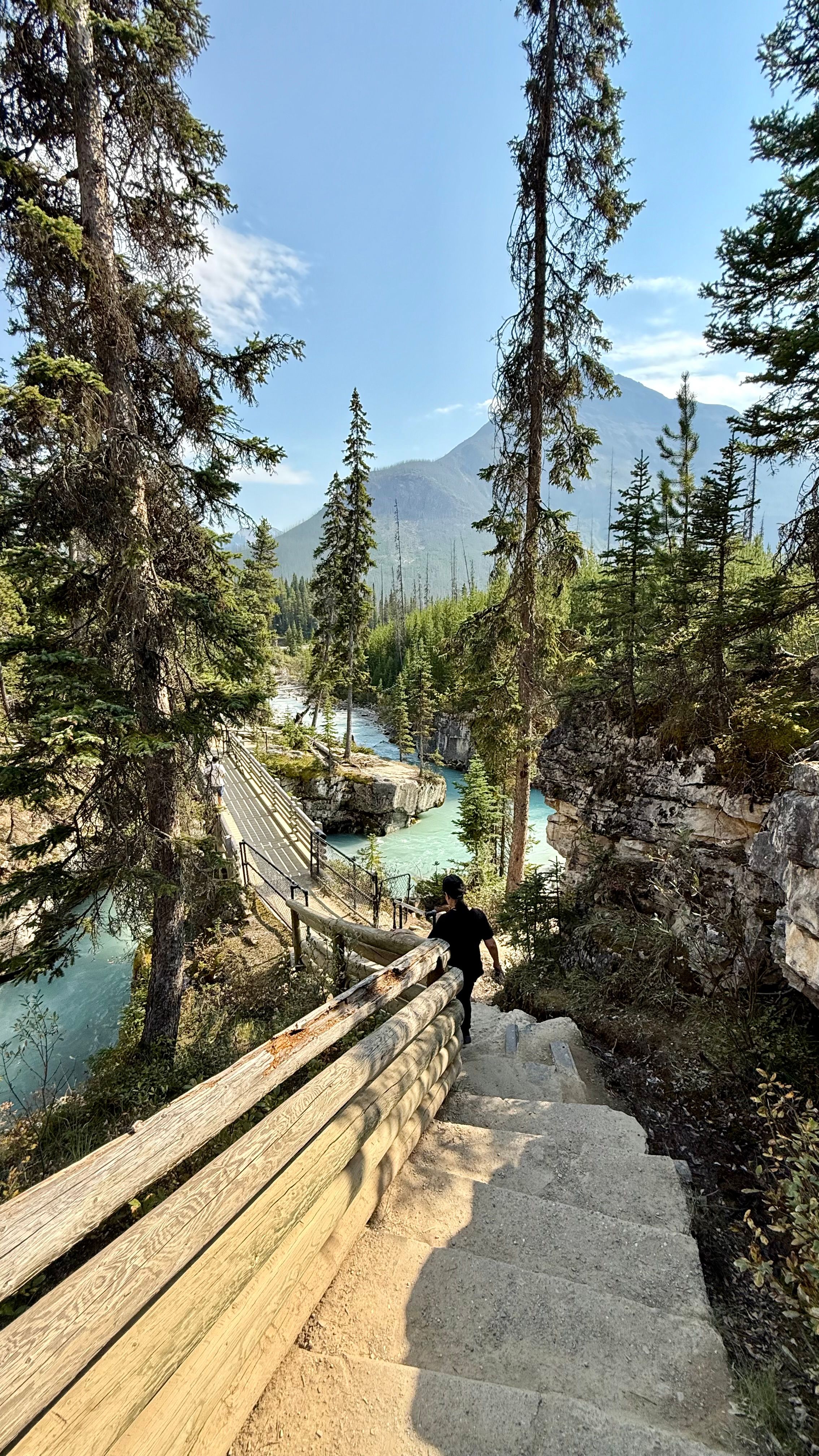 Scenic Forest View with Mountain and River · Free Stock Photo
