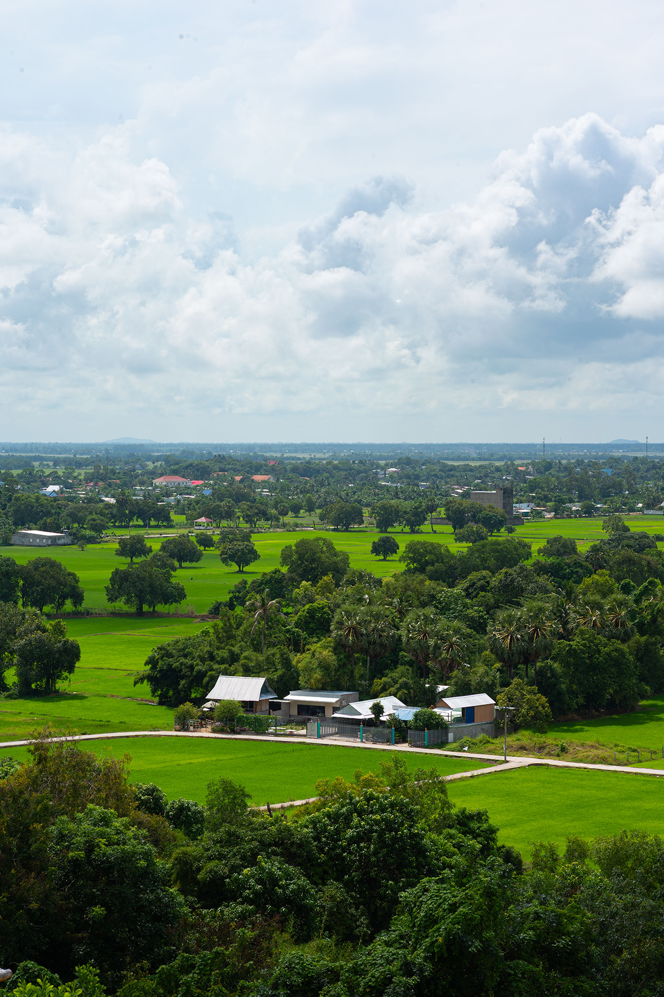 Aerial view of the lush green fields and farmhouses in An Giang, Vietnam under a cloudy sky.