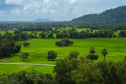 Free Lush green rice fields with mountainous backdrop in An Giang, Vietnam under a cloudy sky. Stock Photo
