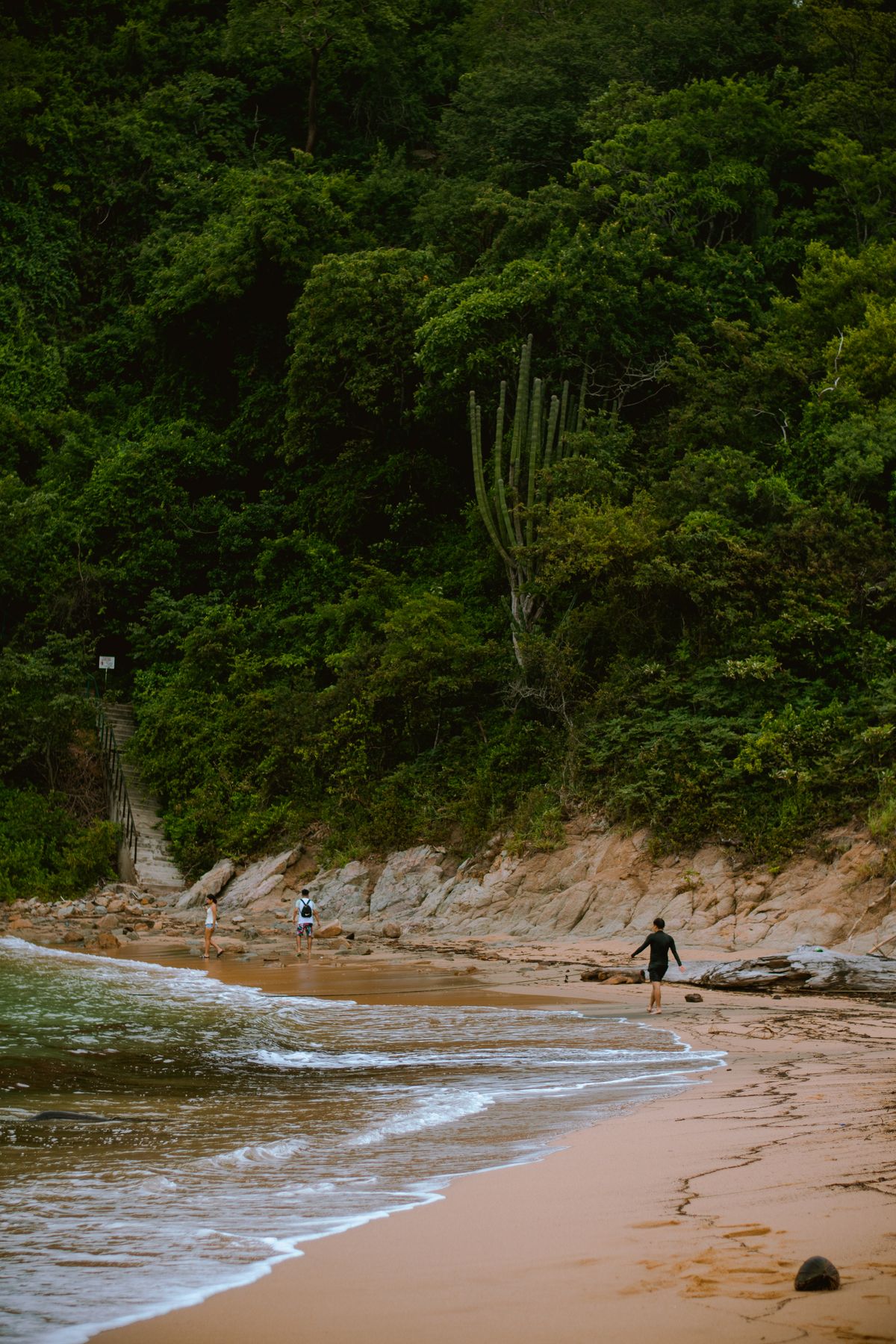 A serene beach in Huatulco, Oaxaca, featuring lush greenery and gentle waves under a cloudy sky.
