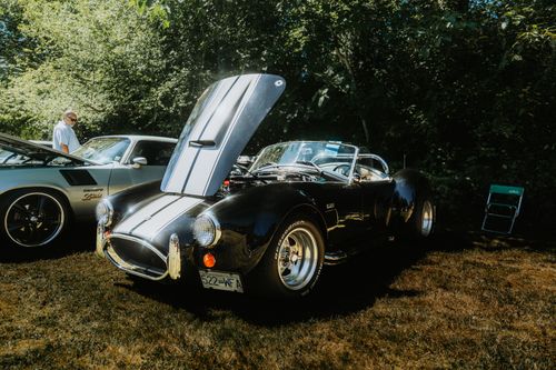 Free Vintage sports cars displayed at an outdoor car show with lush greenery. Stock Photo