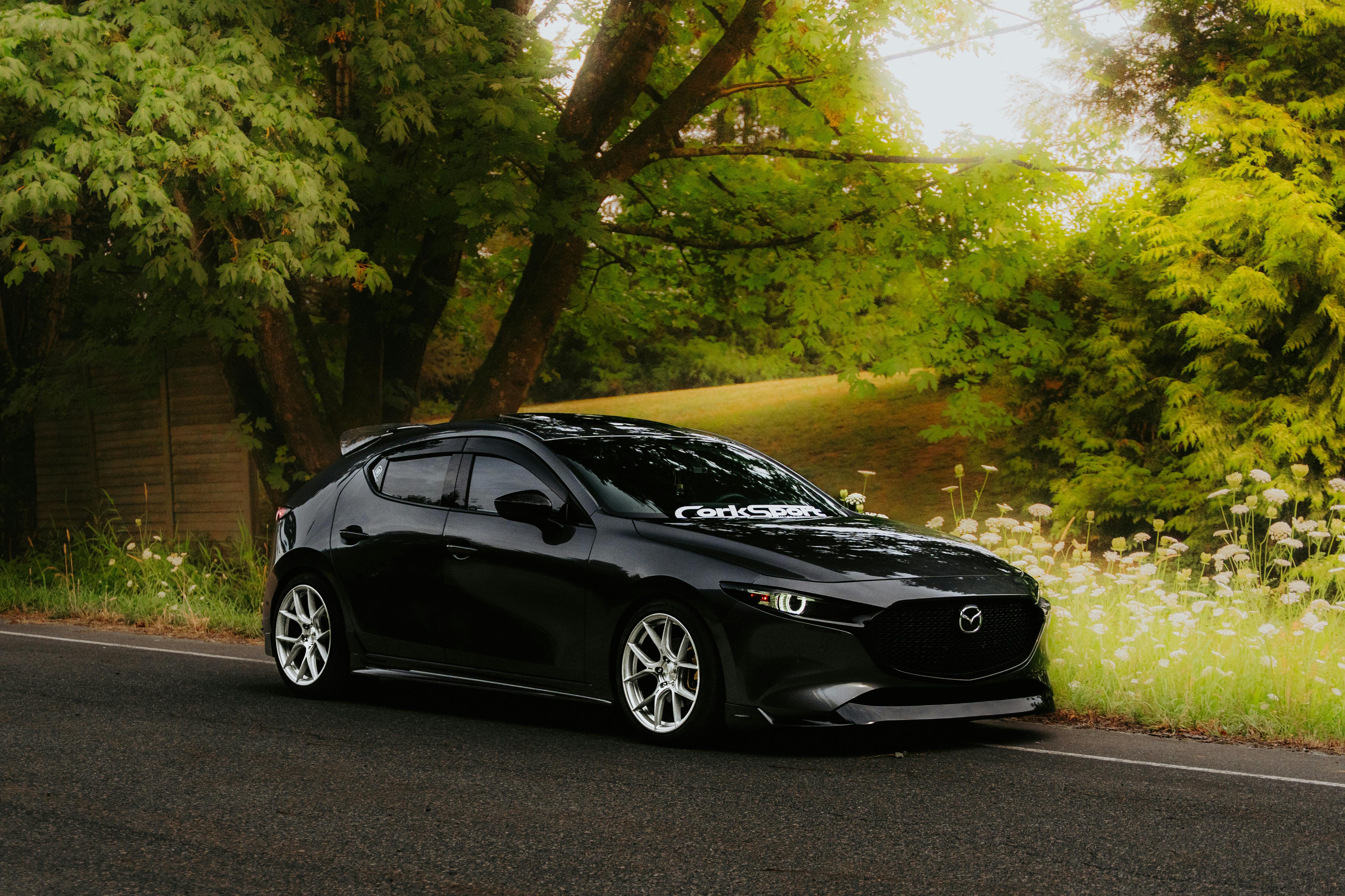 桃園會展中心首屆「藝創生活展」開幕，從封塔納藝術到當代生活美