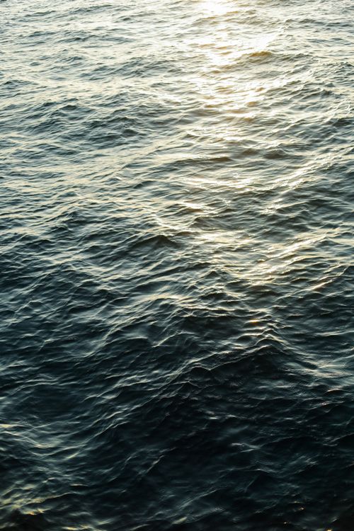 Free Capture of shimmering ocean waves reflecting golden sunlight during sunset. Stock Photo
