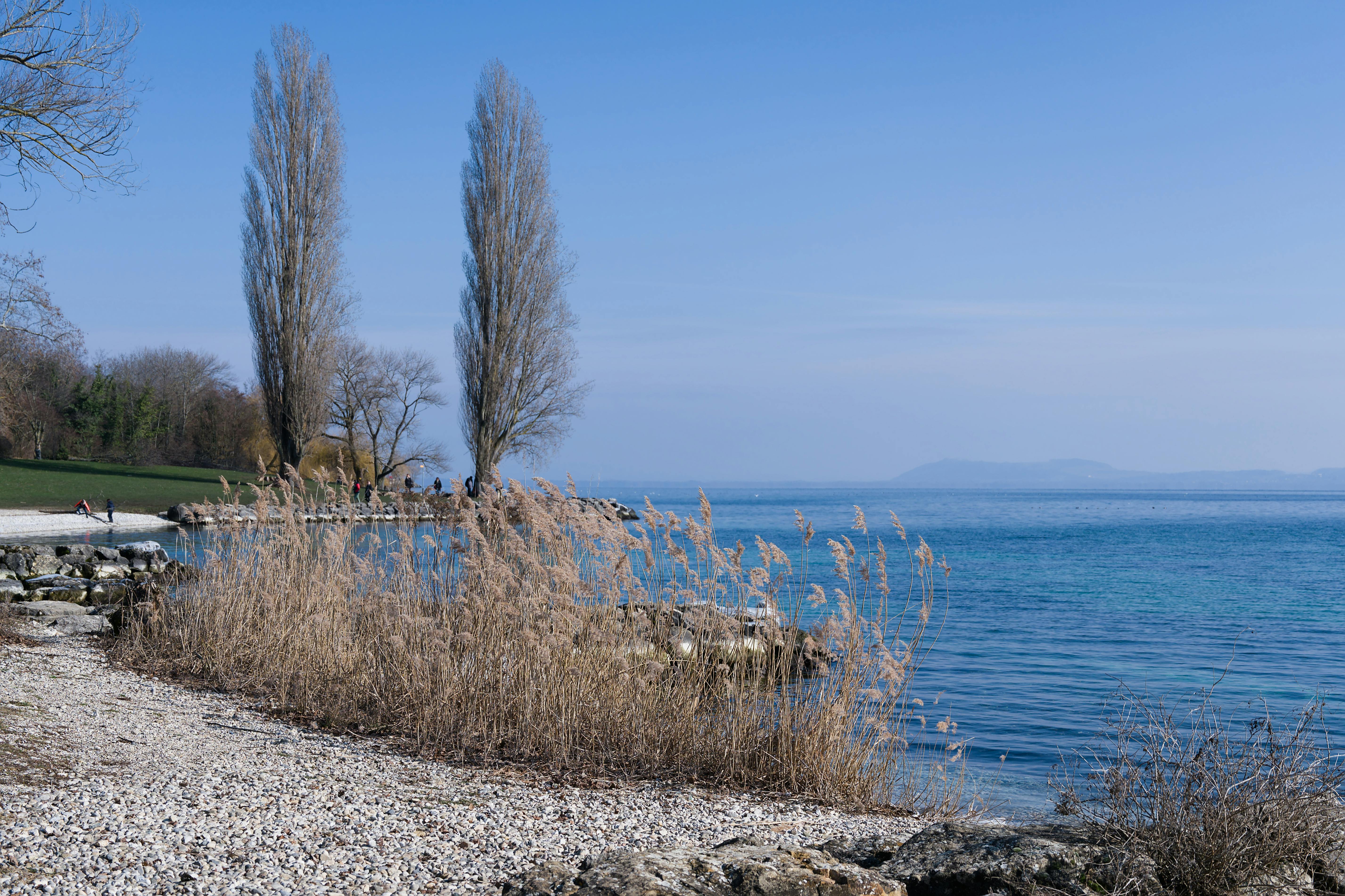 Sea-Level Rise and the Role of Geneva — Photo by Jean-Paul Wettstein on Pexels