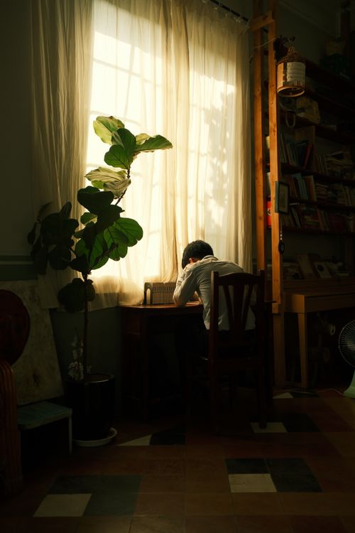 Free A young adult reads at a desk by a window, surrounded by books and plants, in a cozy Jamaican home. Stock Photo