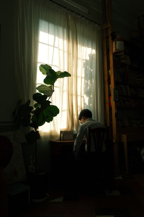 Free A man reading by a sunlit window with lush plant indoors, creating a serene and pensive atmosphere. Stock Photo
