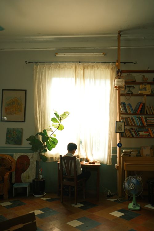 Free Sunlit room with a person at a desk, surrounded by books and plants. Stock Photo
