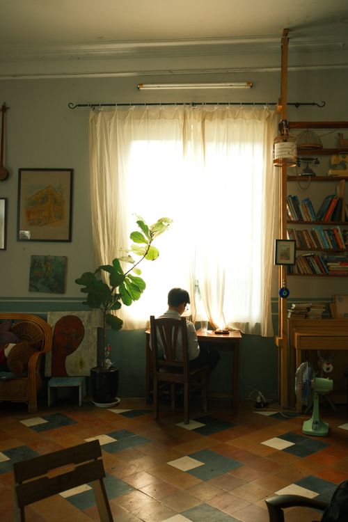 Free A serene indoor space with a person reading by the window, embracing natural light and a cozy atmosphere in Jamaica. Stock Photo