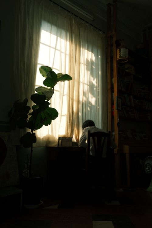 Free Person sitting by a sunlit window in a cozy room, evoking reflection. Stock Photo