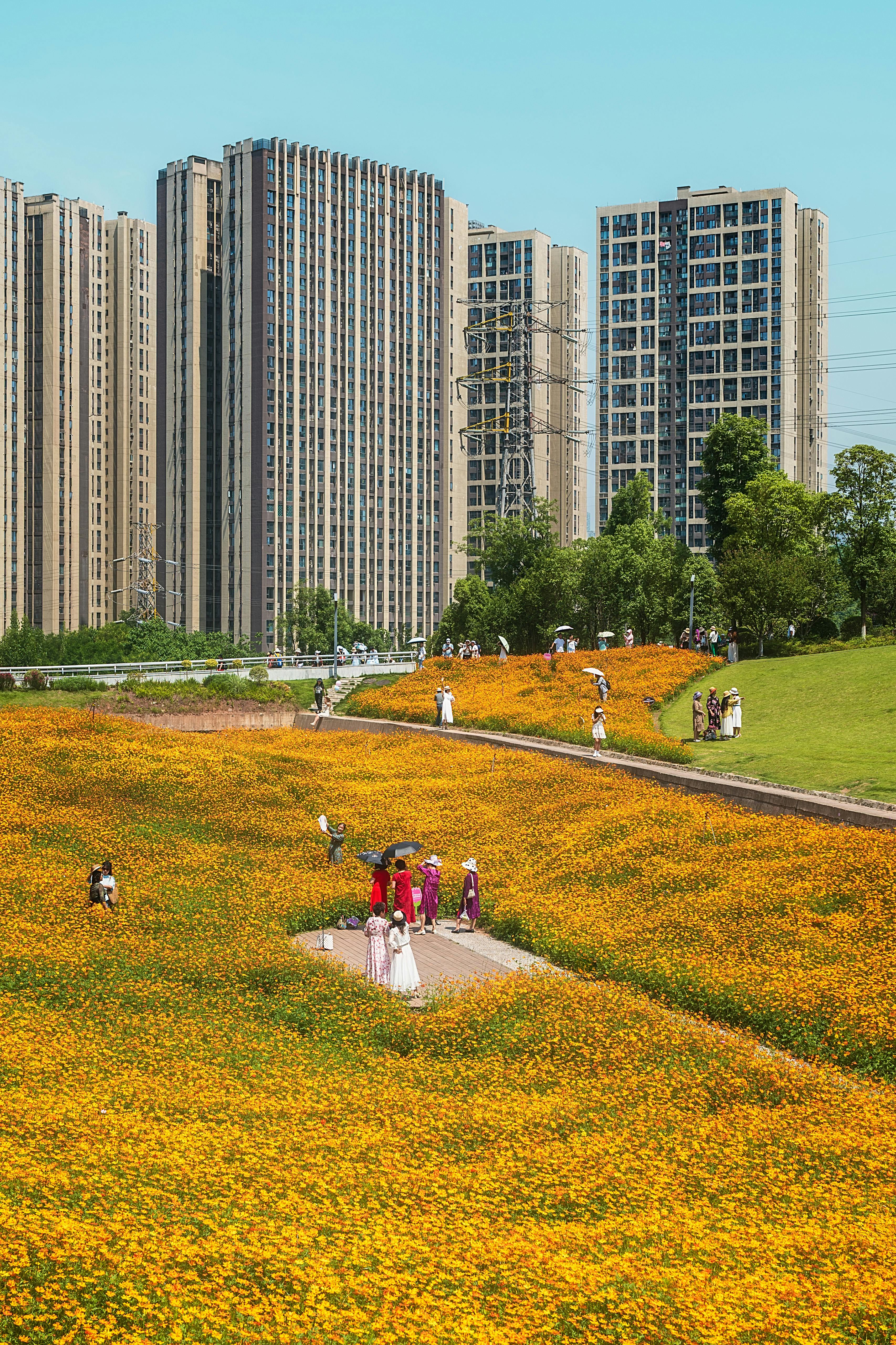 Bright cityscape featuring vibrant flower field and towering modern buildings under a clear blue sky.