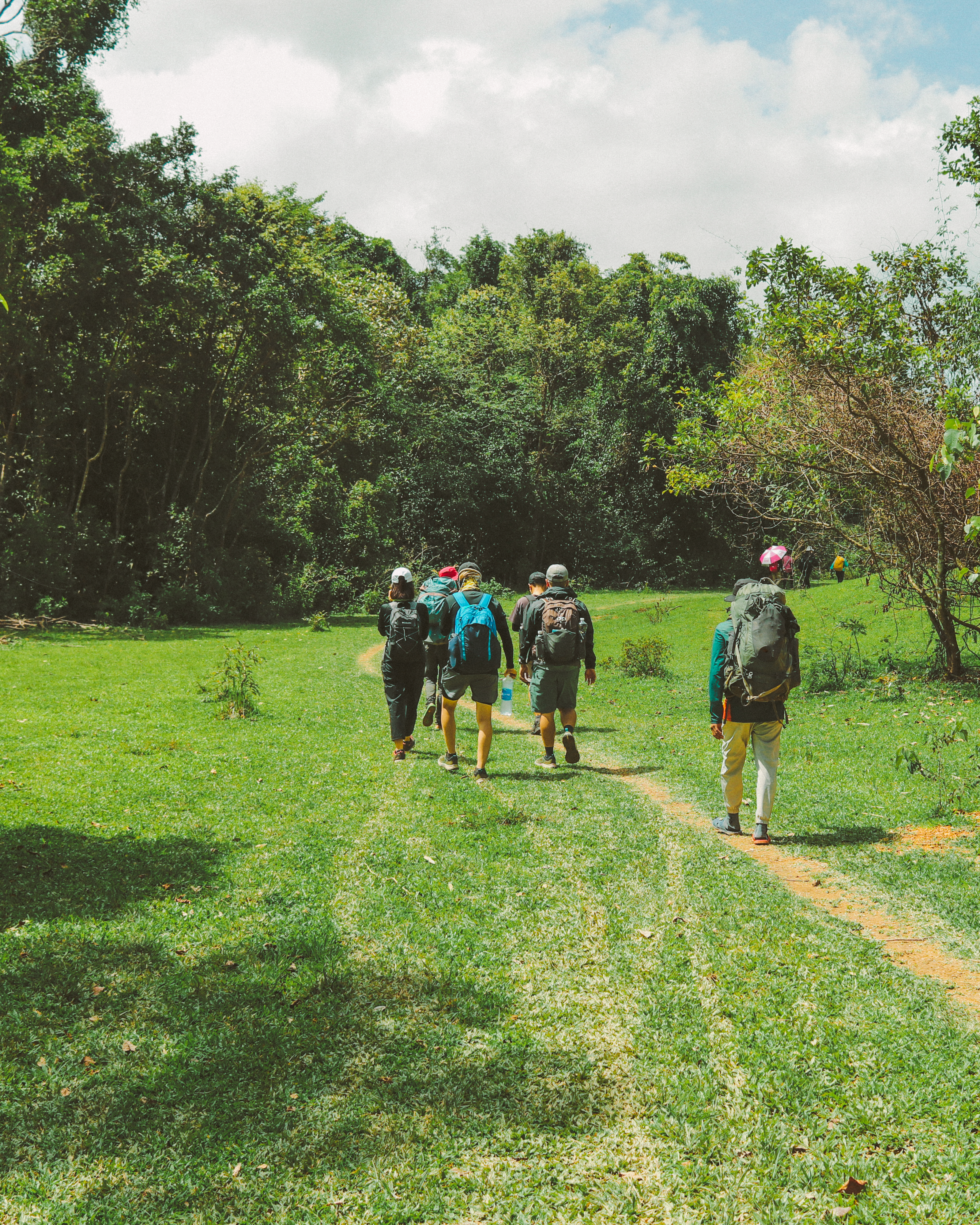 Hikers Walking Through Lush Green Forest in Vietnam · Free Stock Photo