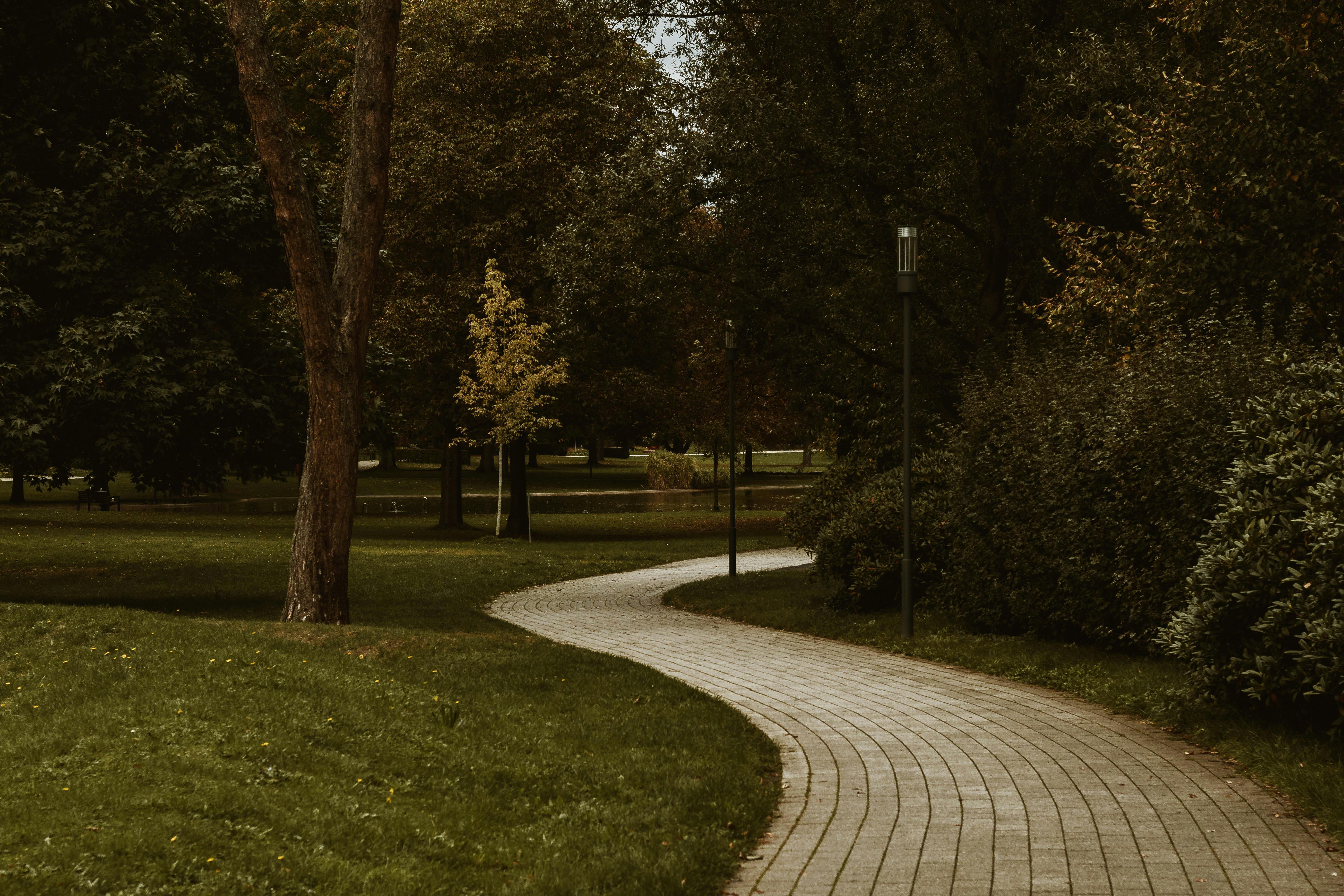 Healthspan White Paper: The Data-Driven Path to Longevity — Photo by Arlind D on Pexels