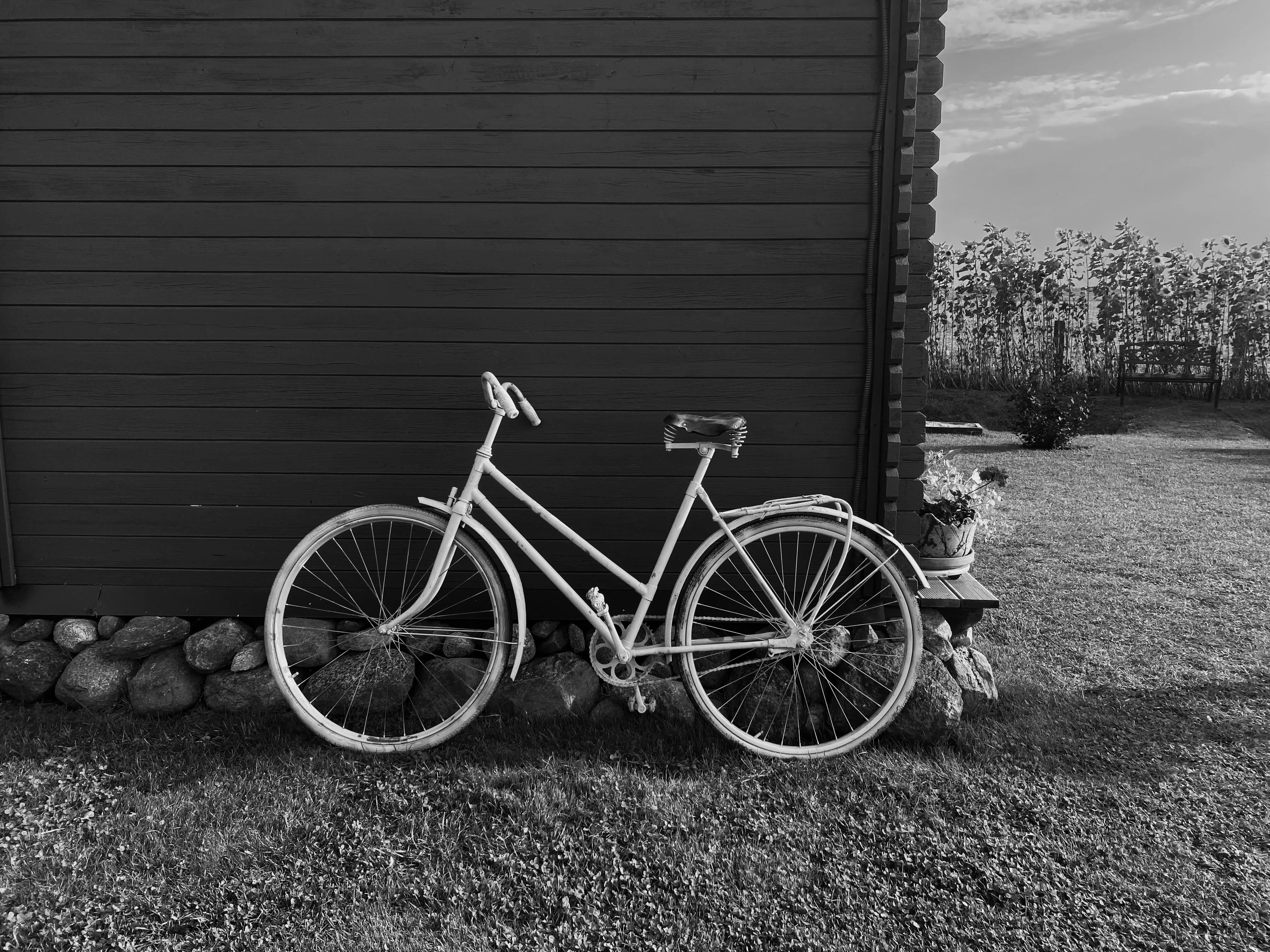 A classic white bicycle leans against a wooden wall in a serene garden setting.