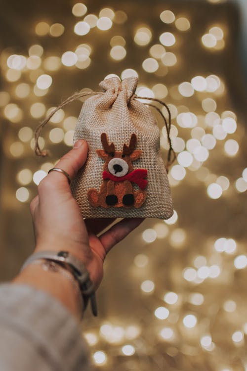 Free Cute Reindeer Pouch Stock Photo