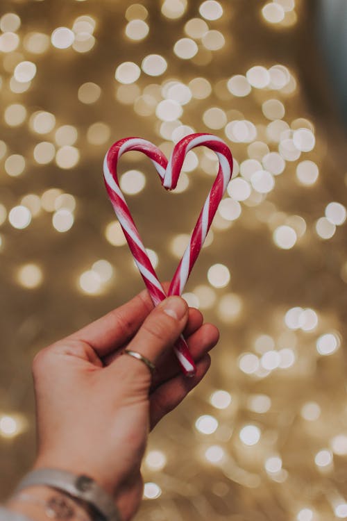 Person Holding Two Candy Canes