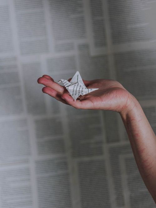 Free Close-up of a hand gently holding a paper origami crane against a blurred text background. Stock Photo