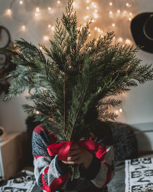 Woman Holding Christmas Tree