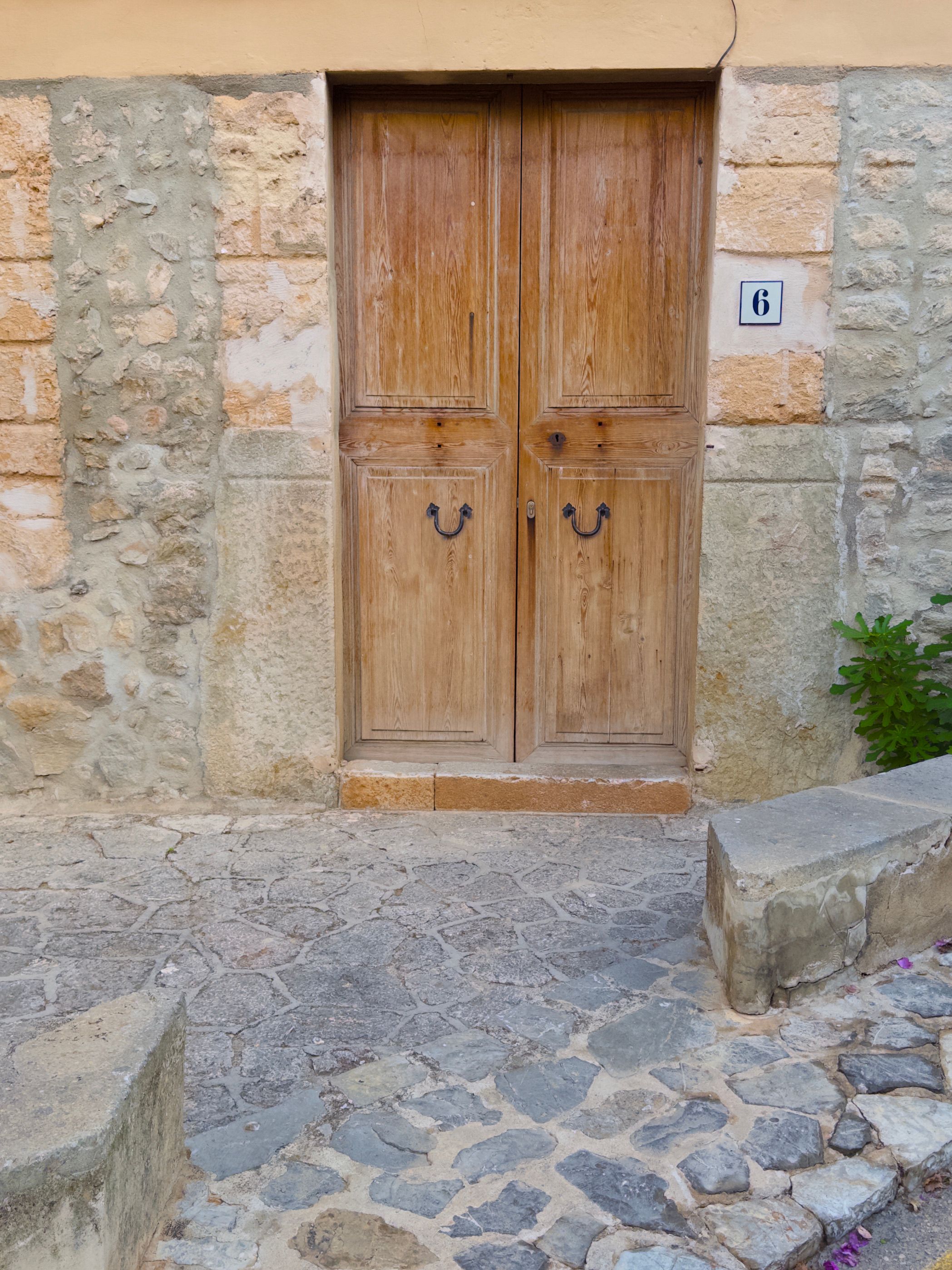 A rustic wooden door set in a stone wall with a cobblestone path leading to it.