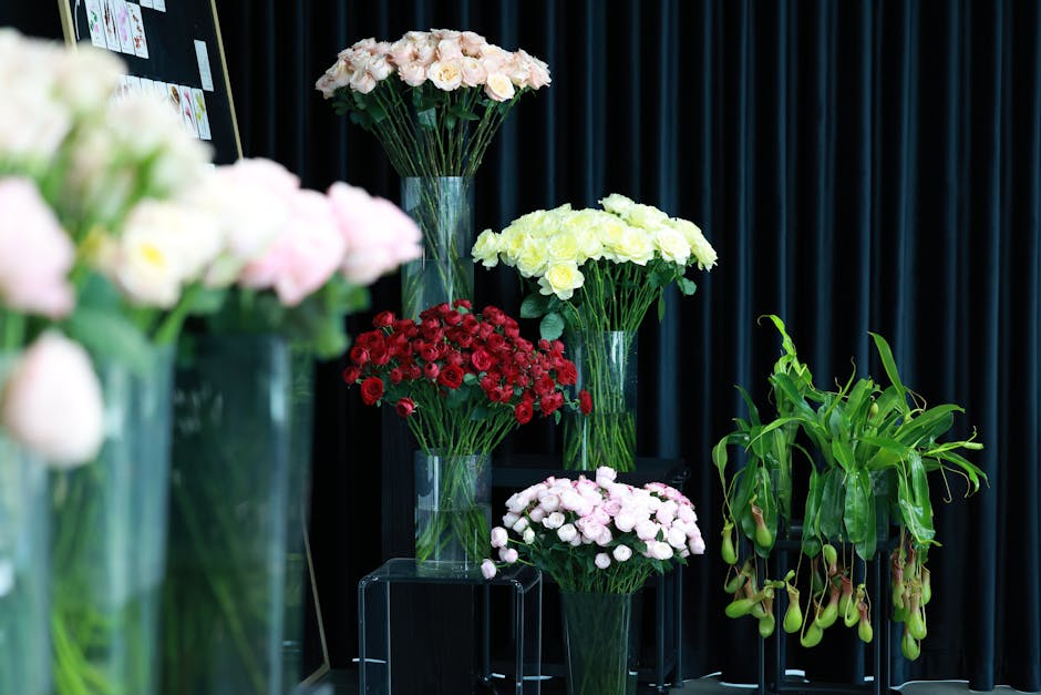 Plantas carnívoras curiosidades