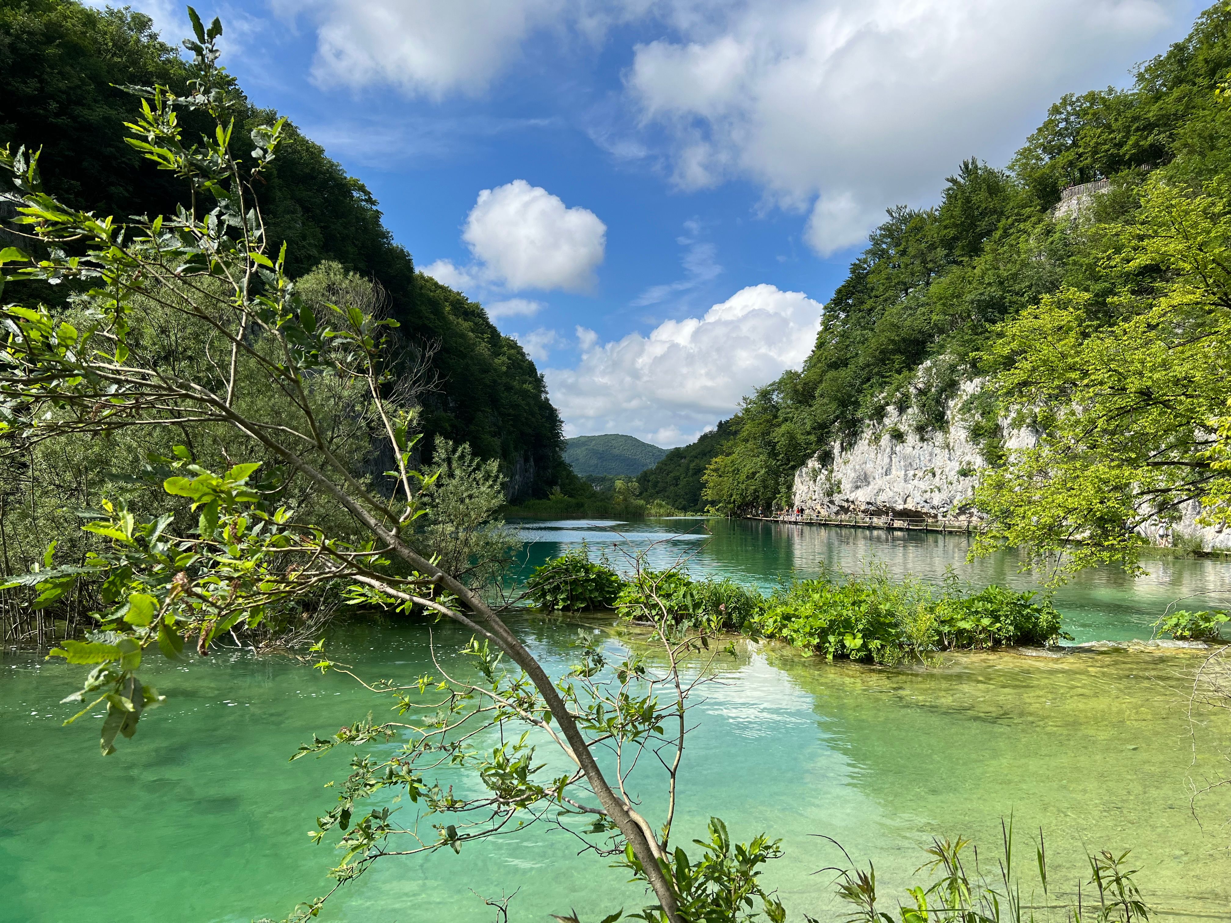 Lush green Plitvice Lakes National Park in Croatia