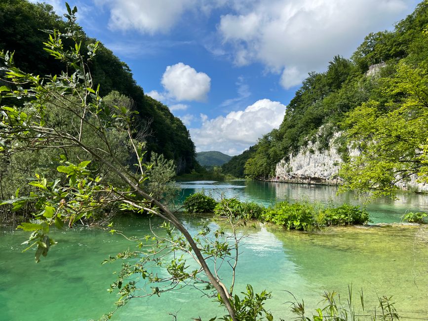 Lush green Plitvice Lakes National Park in Croatia