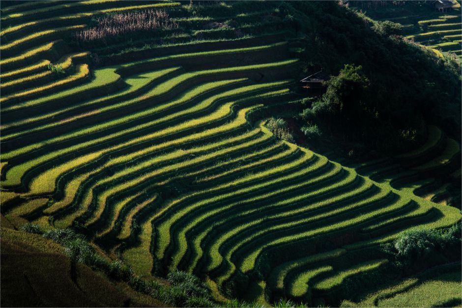 Baie d'Halong au Vietnam, jonques traditionnelles entre les îles karstiques