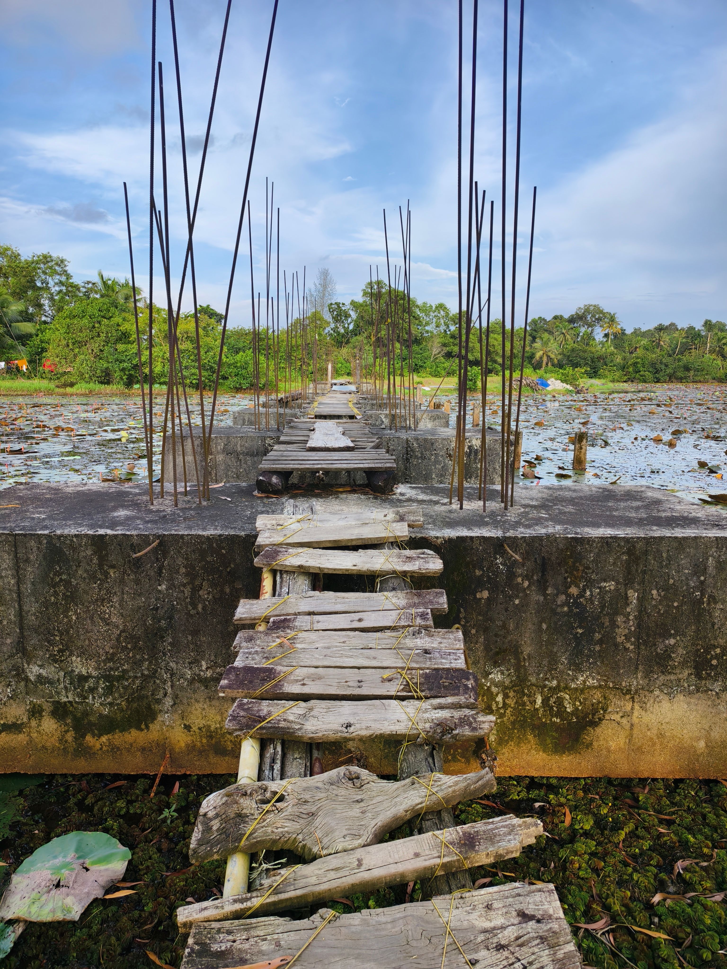 Rustic Wooden Bridge Over Tranquil Pond · Free Stock Photo