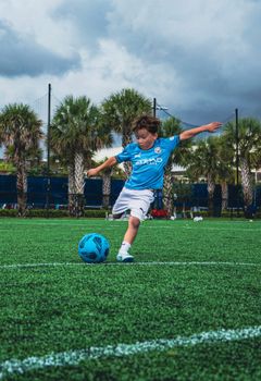 A young boy in a blue jersey actively kicks a soccer ball on a green field amidst palm trees.