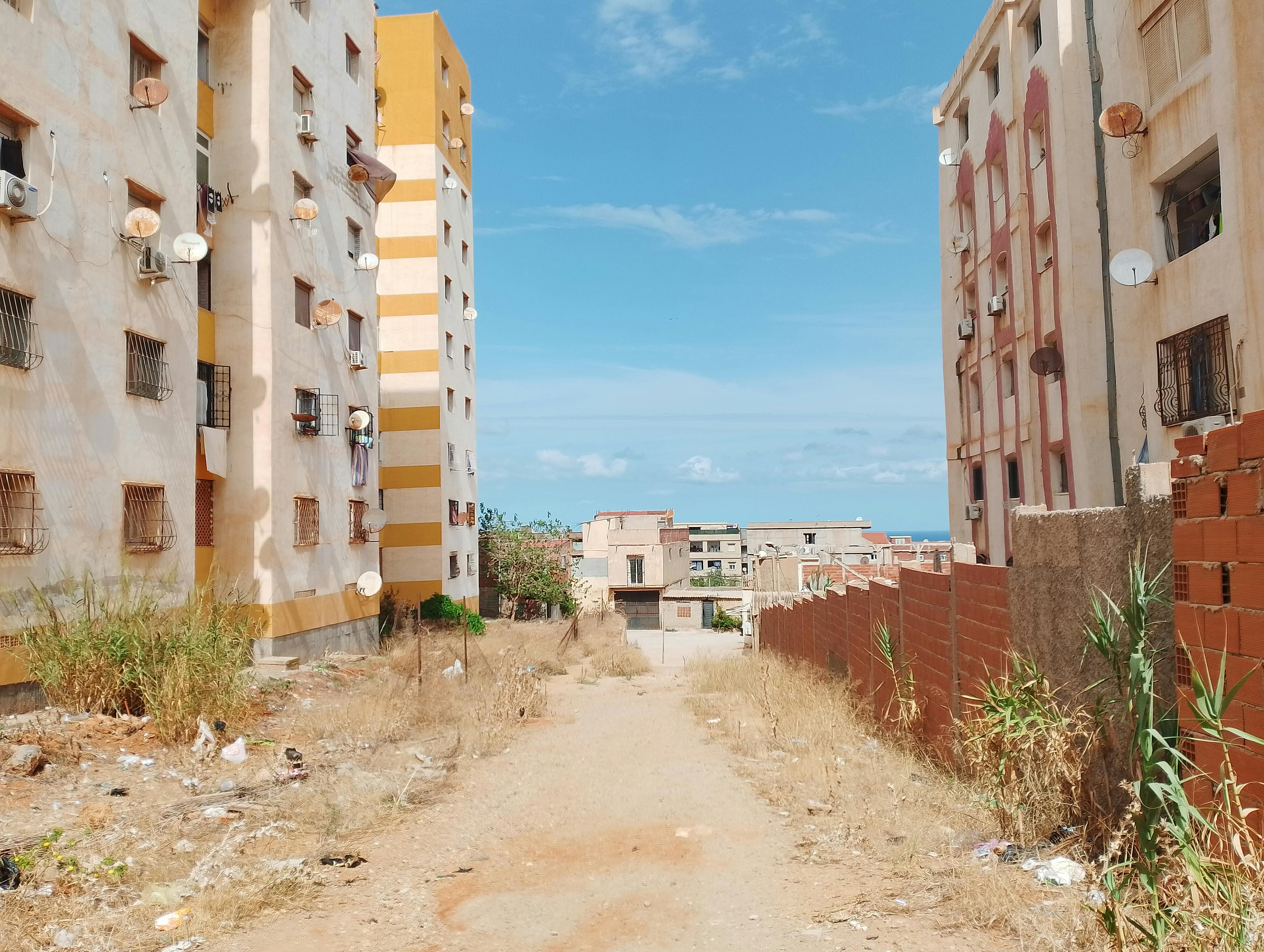 生活：雙北連3天高溫飆破36度，橙燈警戒中暑風險增