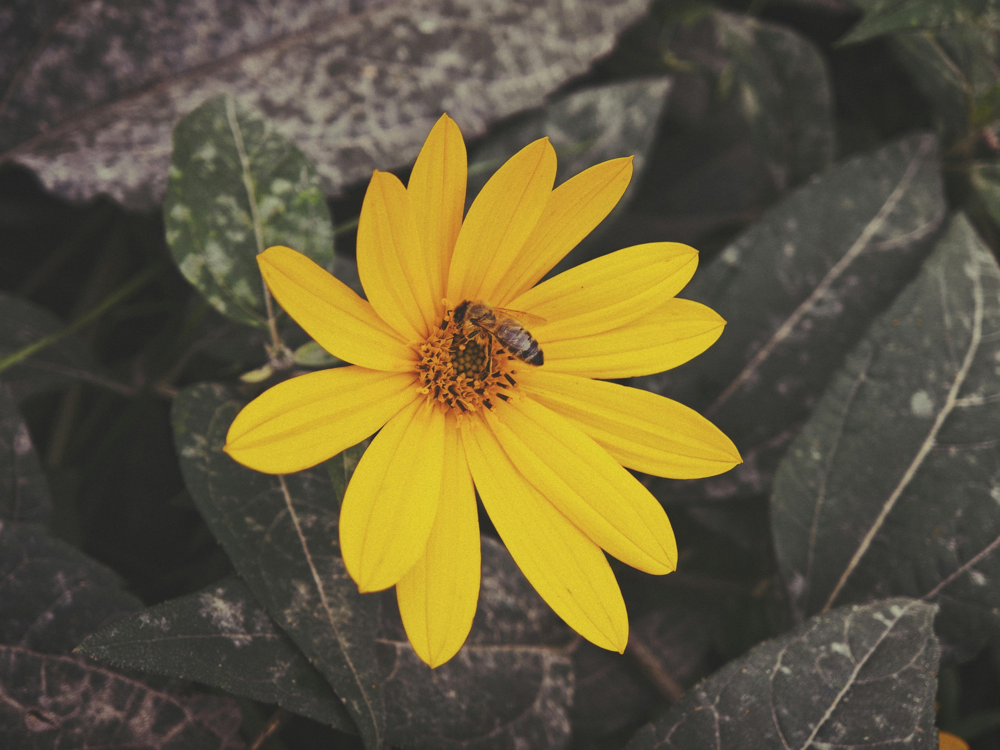 Ark Valley Civics Bee Competition to Send Three Local Students to State — Photo by Its Destini on Pexels