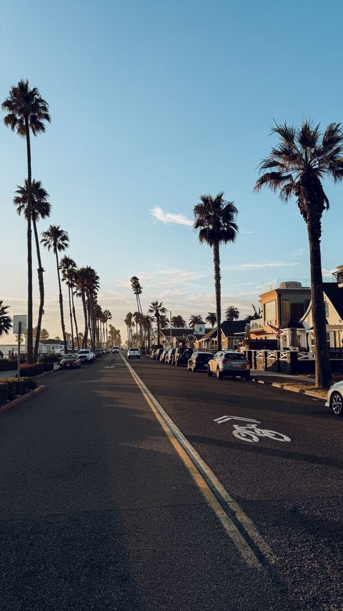 Free Palm trees line a quiet street under a blue sky during sunset, offering a serene urban scene. Stock Photo