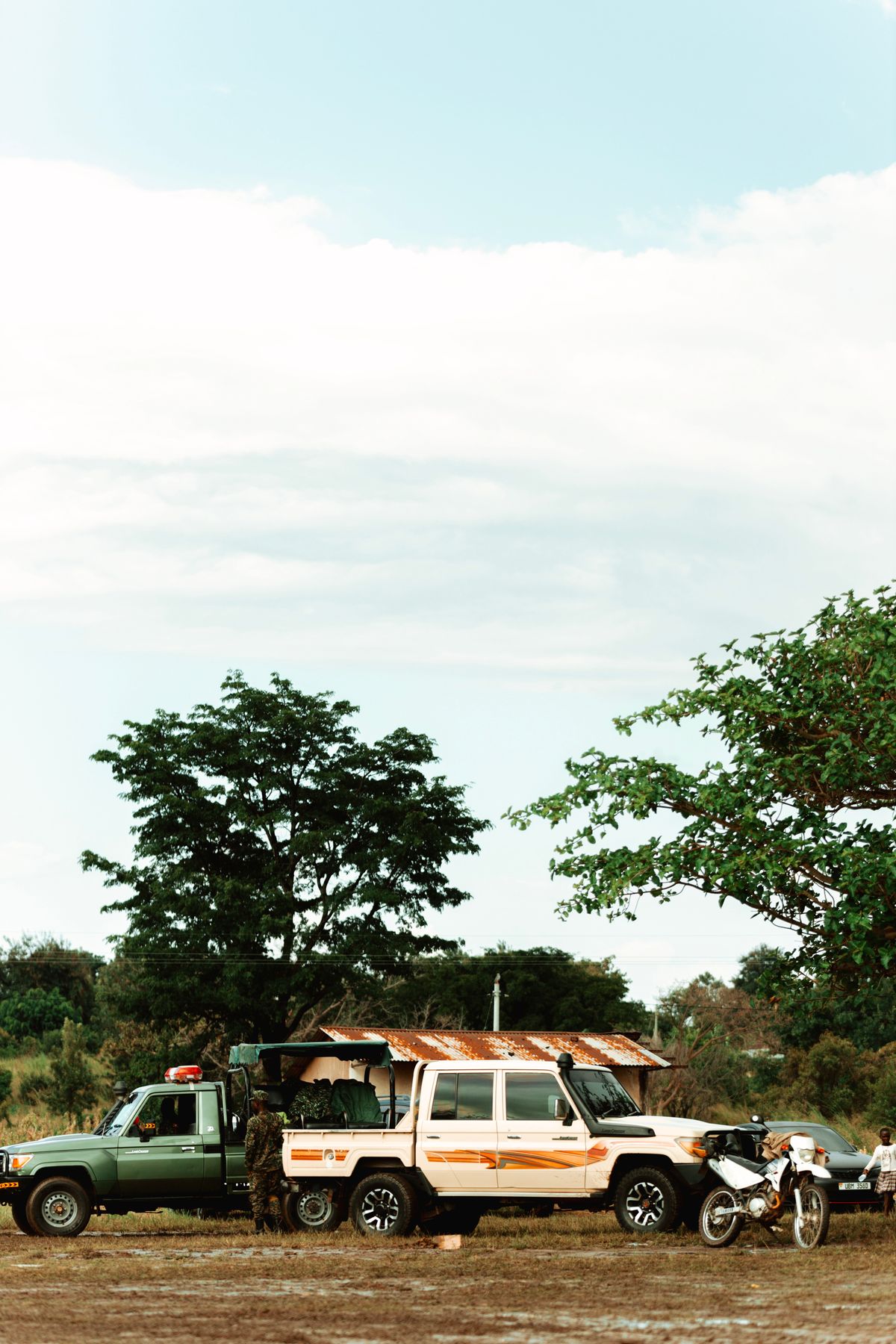Private safari image