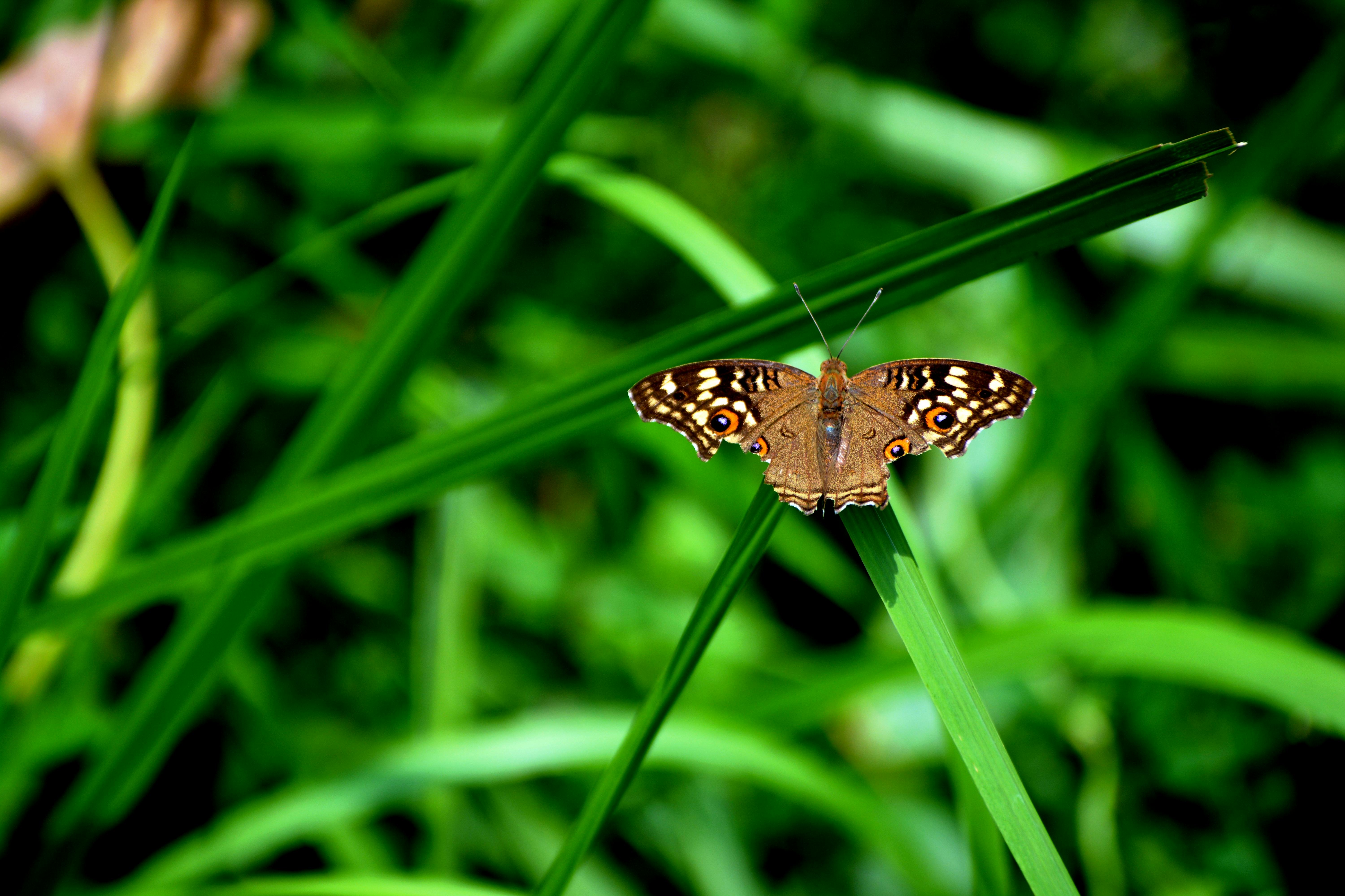 The Importance of Mother Tongue Languages