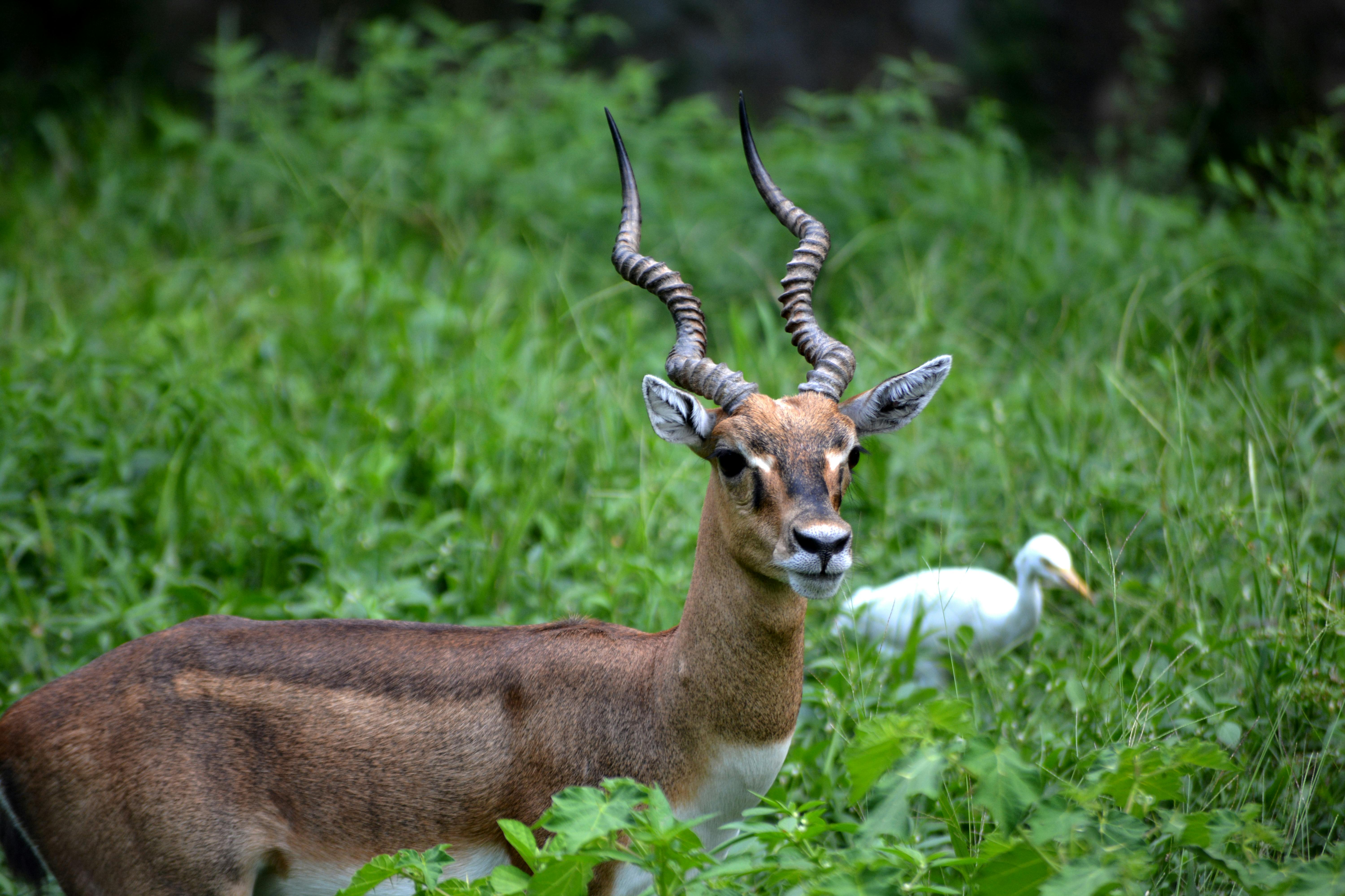 Landmarks in Guwahati
